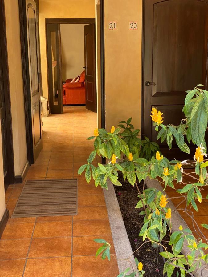Suite Don Pedro: Hermoso Loft Con Parqueo Gratis! アンティグア・グアテマラ エクステリア 写真