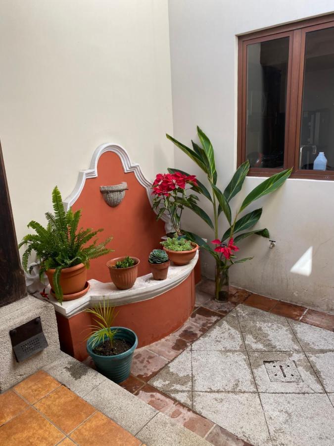 Suite Don Pedro: Hermoso Loft Con Parqueo Gratis! アンティグア・グアテマラ エクステリア 写真